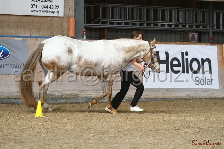 24-ApHC HIH_016.jpg